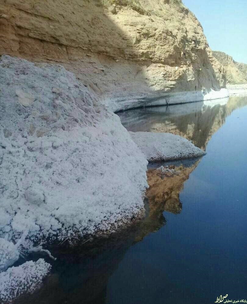 عکس/ یک فاجعه زيست‌محيطی