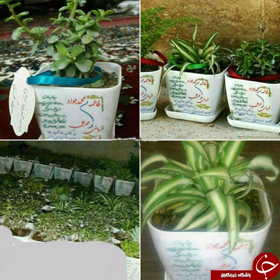 عکس/ کارت عروسی متفاوت یک زوج جوان