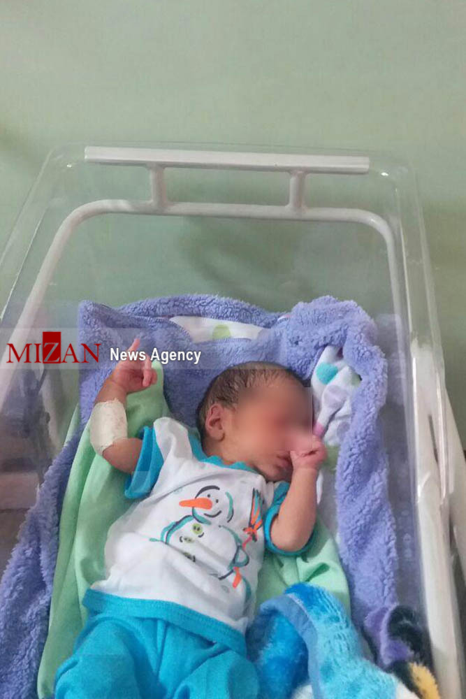 هجوم مورچه‌ها به نوزادان رهاشده درکنار بیمارستان +عکس