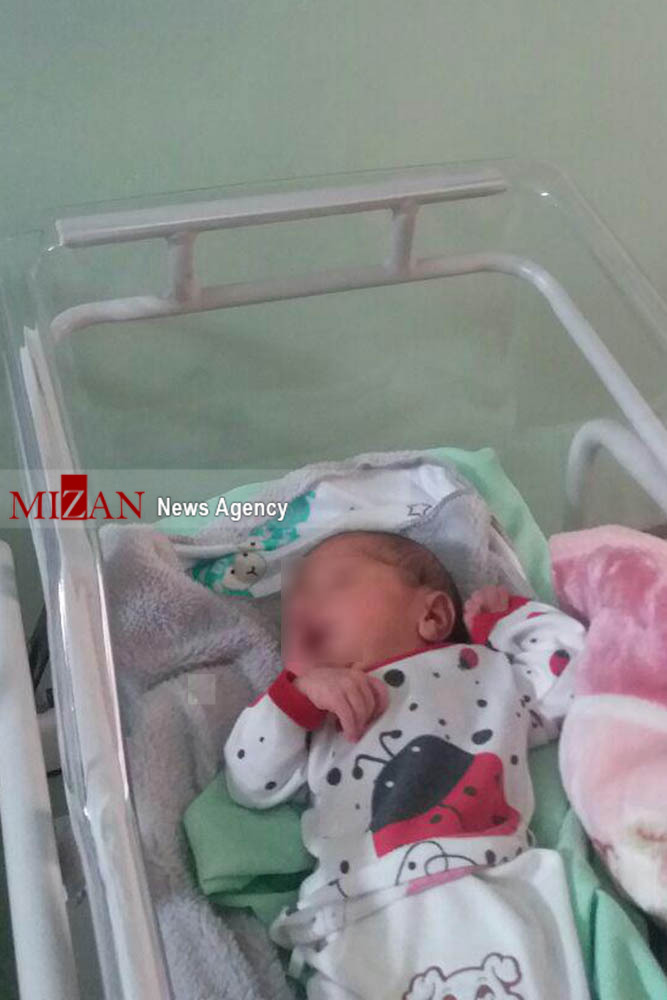 هجوم مورچه‌ها به نوزادان رهاشده درکنار بیمارستان +عکس