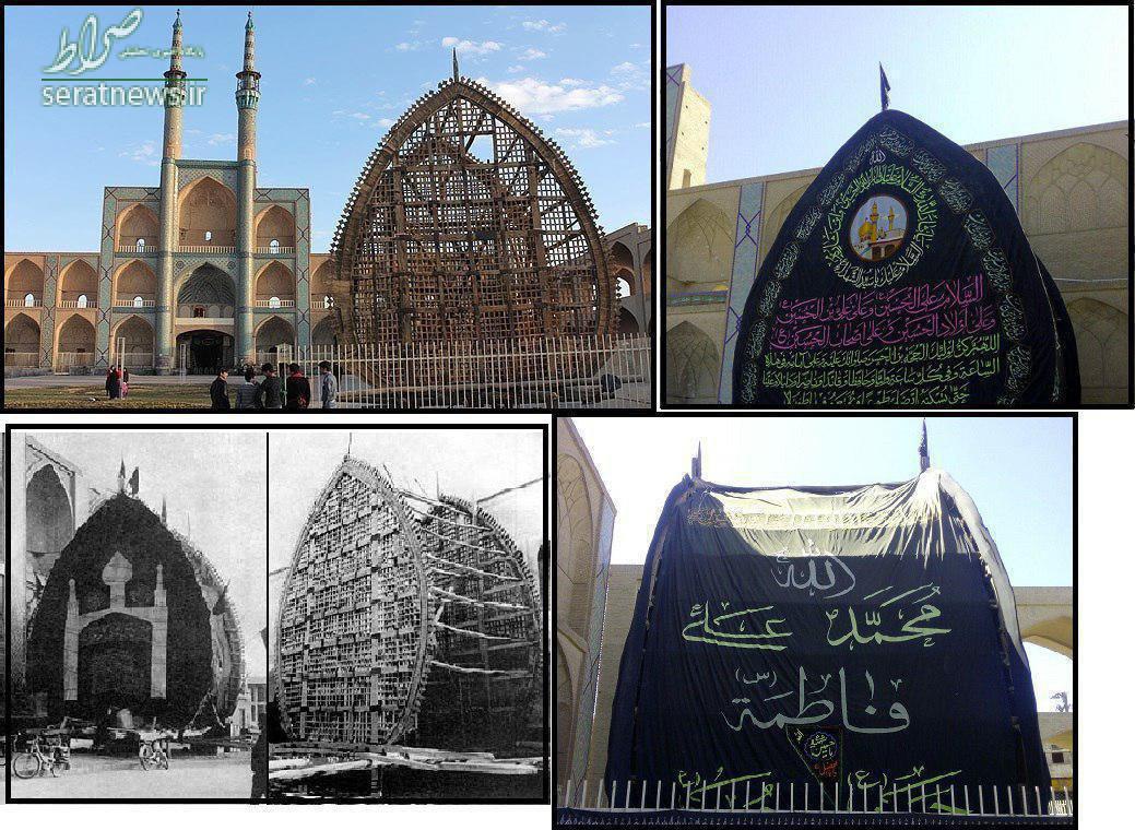 عکس/ قدیمی ترین نخل در شهر یزد