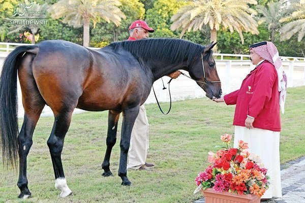 هدیه ملکه انگلیس به پادشاه بحرین +عکس