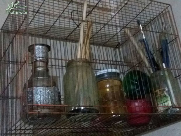 آخرین بازمانده از نسل نقاشان قهوه‌خانه‌ای +تصاویر