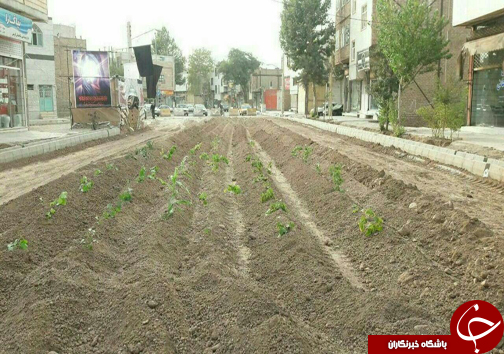 از شطینت کودکان تا شیطنت یک شهروند + تصاویر از شطینت کودکان تا شیطنت یک شهروند + تصاویر