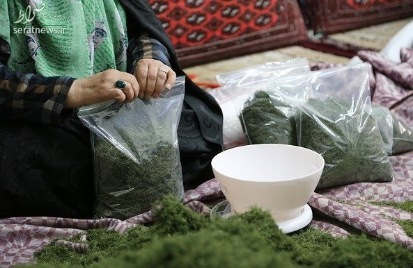 اقتصاد مقاومتی به سبک همسر جانباز اعصاب و روان اقتصاد مقاومتی به سبک همسر جانباز اعصاب و روان