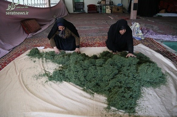 اقتصاد مقاومتی به سبک همسر جانباز اعصاب و روان اقتصاد مقاومتی به سبک همسر جانباز اعصاب و روان