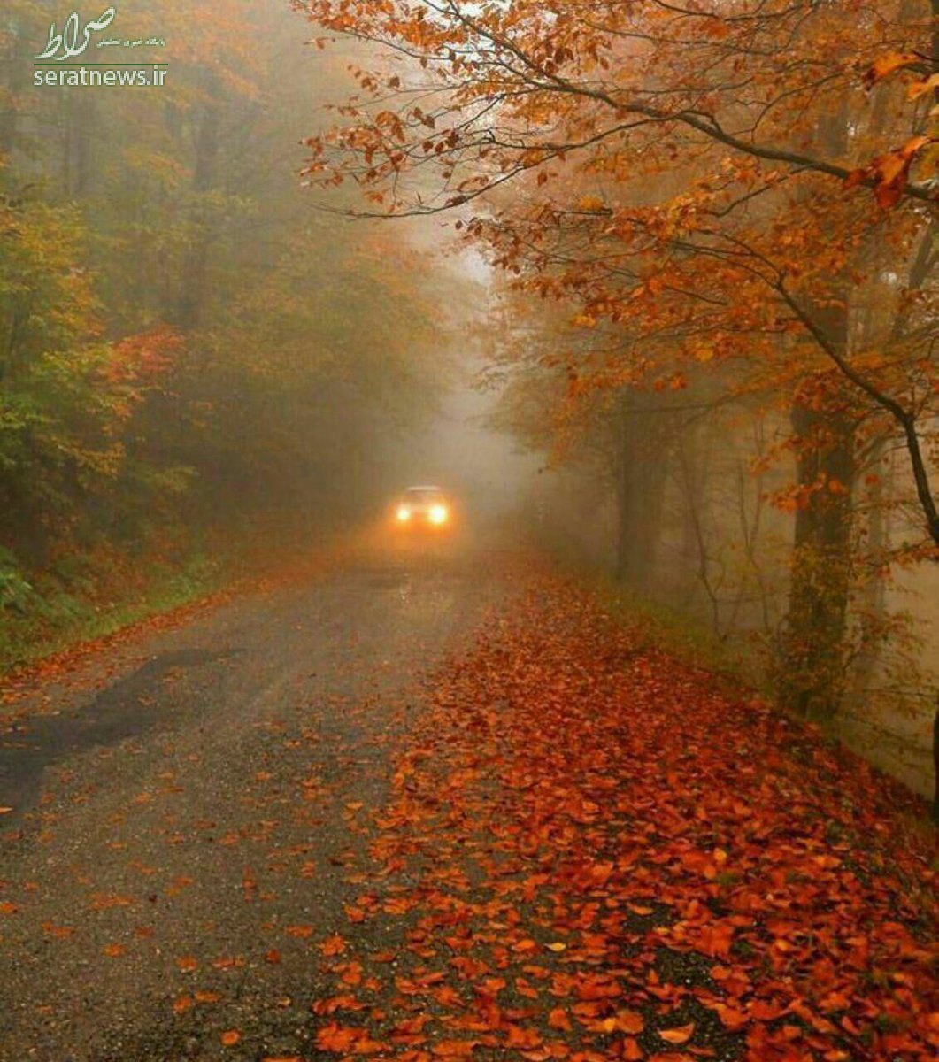 عکس/ پاییزی ترین جاده کشور عکس/ پاییزی ترین جاده کشور