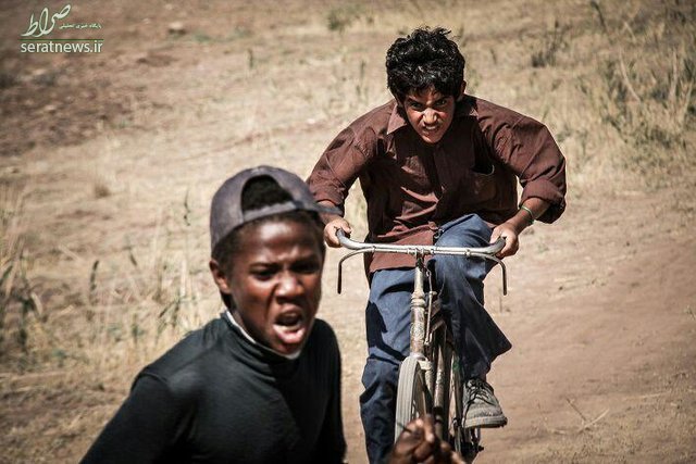 دغدغه‌های سینمایی برای یک بحران جهانی+عکس