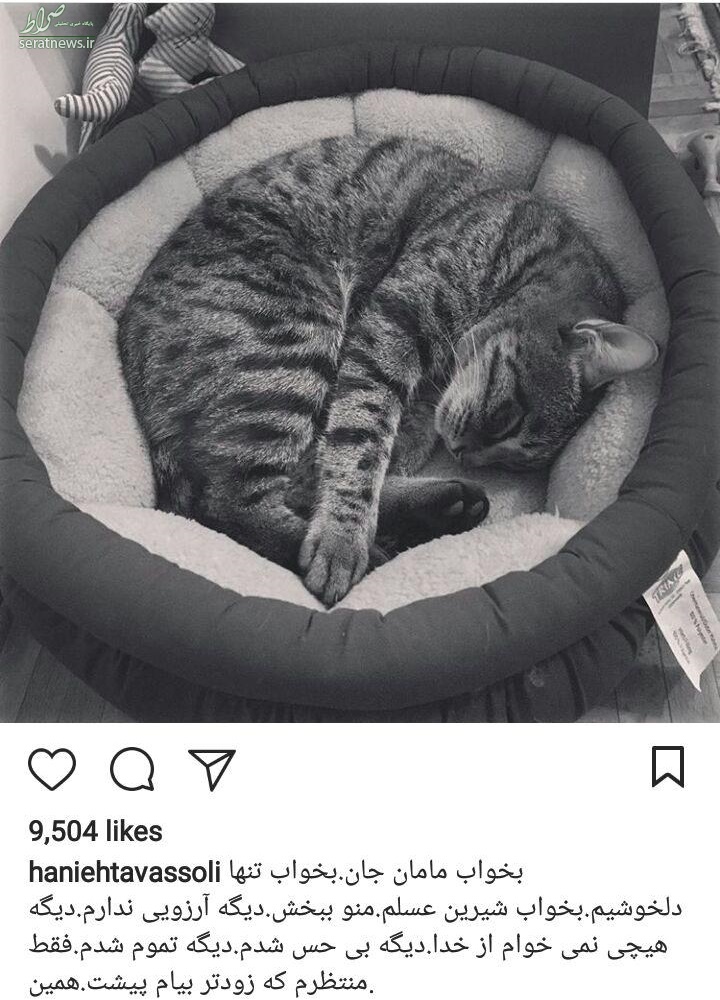 عکس/ پست عجیب بازیگر زن برای گربه اش!