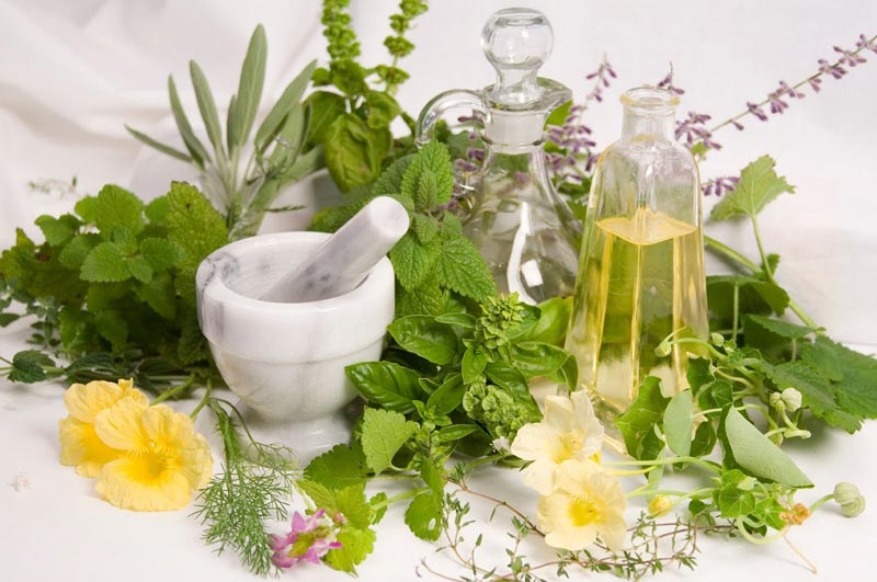 رهایی از کمر درد با گیاهان دارویی رهایی از کمر درد با گیاهان دارویی