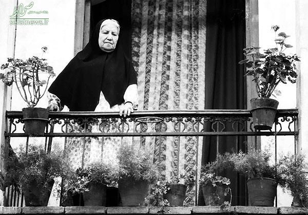 آنچه از جشنواره فیلم فجر نمیدانید آنچه از جشنواره فیلم فجر نمیدانید