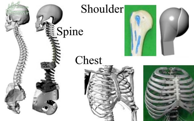 ربات‌های انسان‌نما با اسکلت انسانی +تصاویر