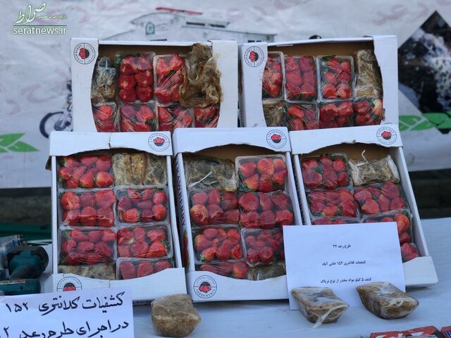 کشف تریاکفرنگی در ترهبار +تصاویر کشف تریاکفرنگی در ترهبار +تصاویر