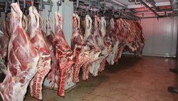 اعطای مجوز واردات گوشت به ۱۲۰ شرکت