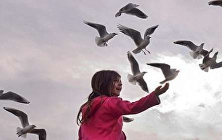 تصاویر/ پرنده های مهاجر در ساحل خزر