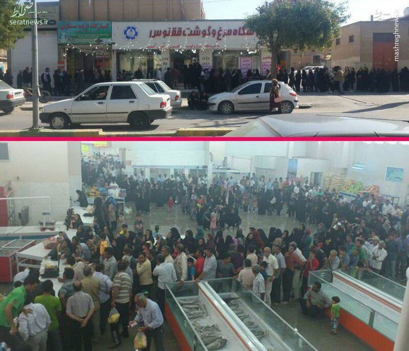 عکس/ صف طویل خرید مرغ در بوشهر