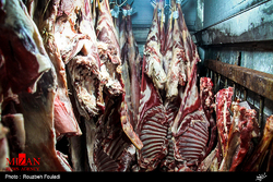 کشف بیش از ۱۶ هزار کیلو گوشت قرمز احتکار شده در تهران