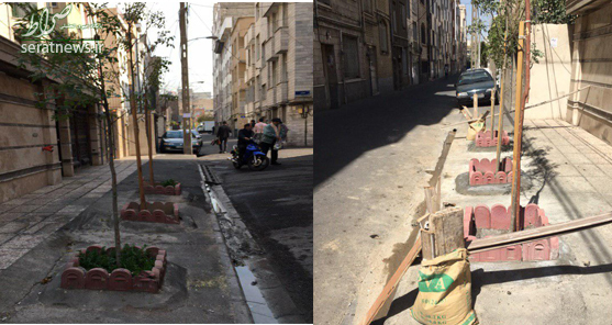 شاهکار شهرداری منطقه ۱۰؛ درختان را کندند تا پیاده راه پارکینگ شود! + تصاویر