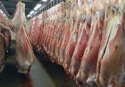 قیمت تمام شده هر کیلو گوشت گوسفندی چقدر است؟