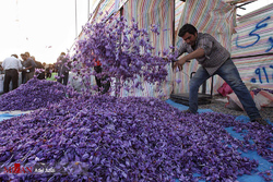 سواستفاده دلالان در آشفته بازار زعفران