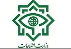 متن کامل گزارش وزارت اطلاعات درباره دوتابعیتی‌ها