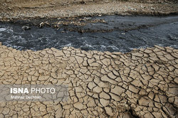 مرگ و میر آبزیان رودخانه دز خوزستان در پی کاهش دبی آب