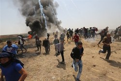 زخمی شدن صد‌ها فلسطینی توسط صهیونیست‌ها
