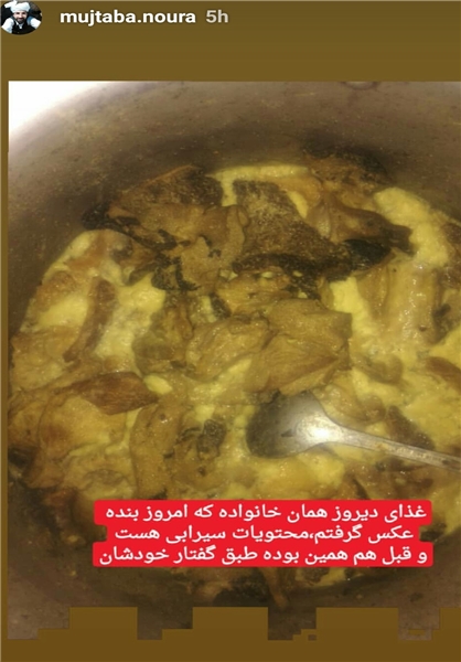 ماجرای خوردن گربه در جنوب ایران چیست؟