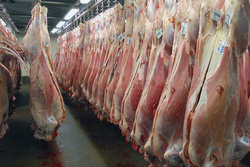 قیمت گوشت گوسفندی در بازار کاهش یافت