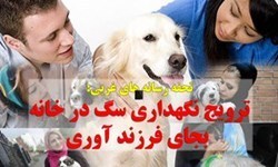 حیواناتی که جای فرزندان مردم را گرفته اند!