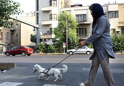 به کجا چُنین شتابان