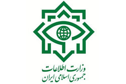 وزارت اطلاعات: فعالیت مدیران دوتابعیتی در پست‌های حساس کشور رد می‌شود