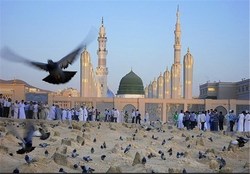 حضور بیش از ۹ هزار زائر ایرانی در مدینه منوره