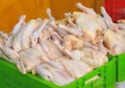 مرغ ۳۰۰۰ تومان گران‌تر از قیمت مصوب