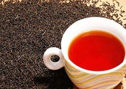 تولید ۱۷ هزار تن چای در کشور