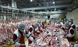 نیاز به 150 هزار تن واردات گوشت قرمز در کشور