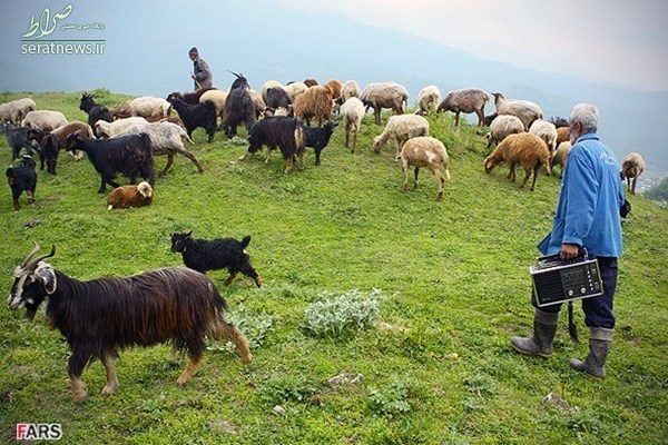 «نیوزلندِ ایران» کجاست؟ +تصاویر