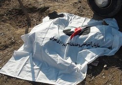 کشف جسد فاسد شده در فضای سبز اتوبان فتح