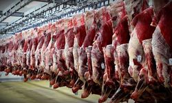 گوشت گوسفندی 35درصد گران شد