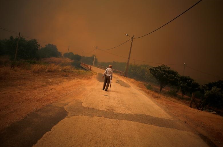 آتش سوزی جنگلهای پرتغال