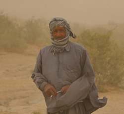 تصاویر/ زکات؛ شکرگزاری سخاوت زمین