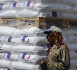 تصاویر/ زکات؛ شکرگزاری سخاوت زمین