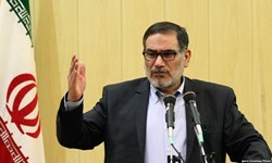 شمخانی: بخش خصوصی می‌تواند خط شکن اصلی نبرد اقتصادی باشد