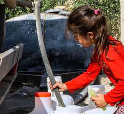 تصاویر/ زکات؛ شکرگزاری سخاوت زمین