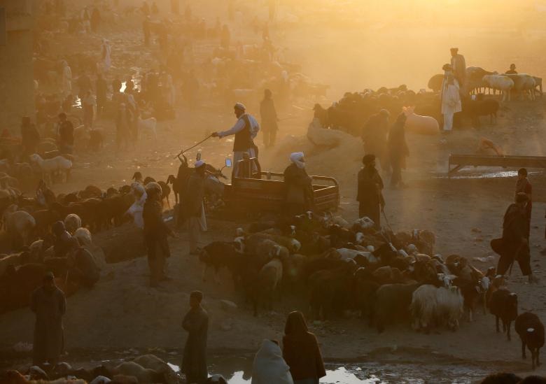 عید قربان در افغانستان 
