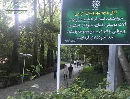 ورود «ساز» به پارک‌ها ممنوع شد!