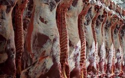 چرا گوشت 20هزار تومانی، 60 هزار تومان فروش می‌رود؟