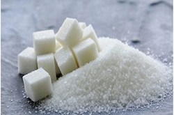 صادرات شکر ممنوع شد