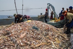 چین: کشتی‌های ماهیگیری ما در آب‌های ایران حضور ندارند