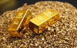میزان طلای خارج شده از کشور چقدر است؟
